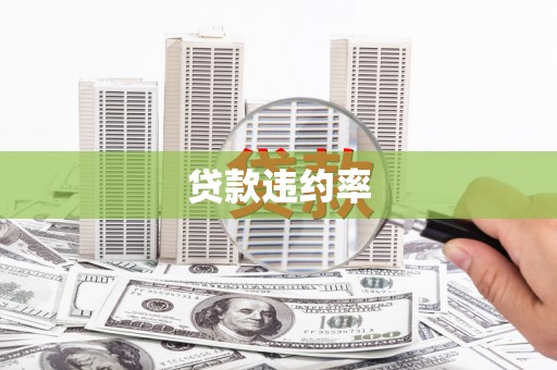 化州贷款违约率