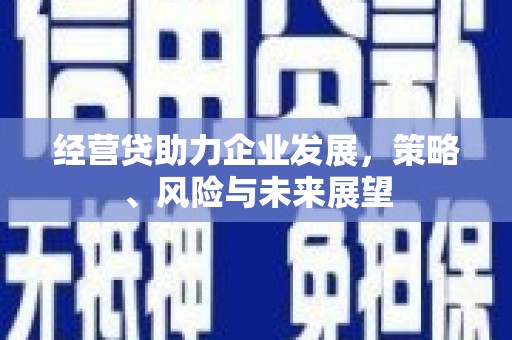 化州经营贷助力企业发展，策略、风险与未来展望
