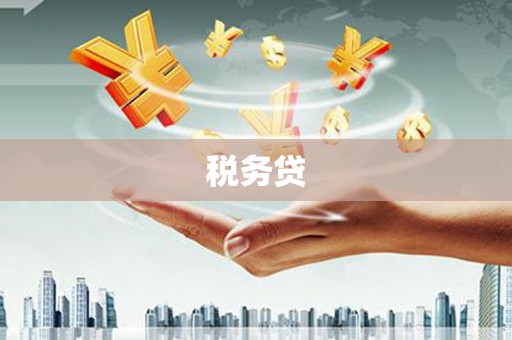 化州税务贷