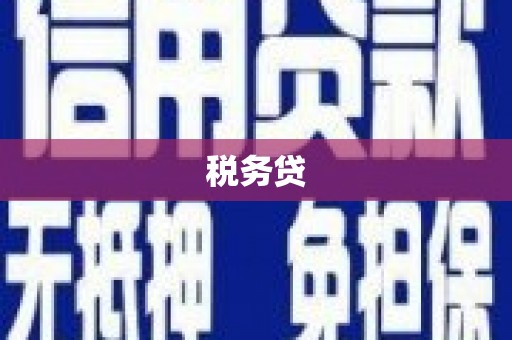 化州税务贷
