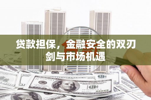 化州贷款担保，金融安全的双刃剑与市场机遇