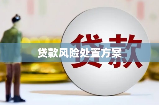 化州贷款风险处置方案