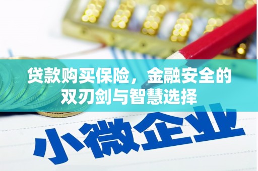 化州贷款购买保险，金融安全的双刃剑与智慧选择