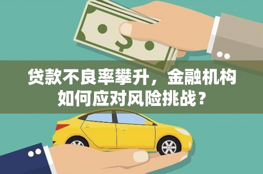 化州贷款不良率攀升，金融机构如何应对风险挑战？