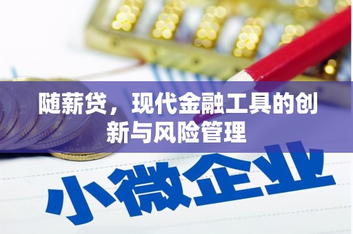 化州随薪贷，现代金融工具的创新与风险管理