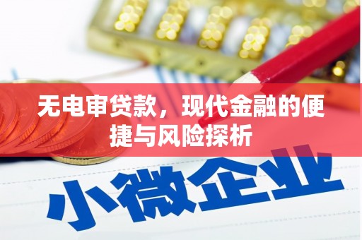 化州无电审贷款，现代金融的便捷与风险探析