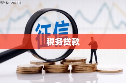 化州税务贷款