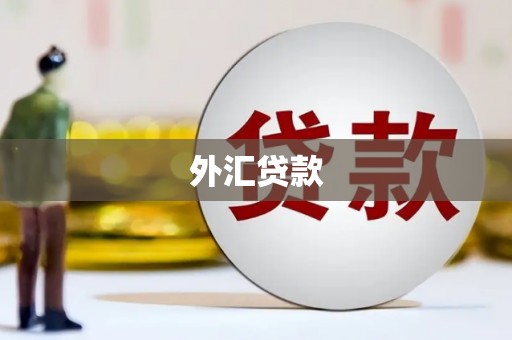化州外汇贷款
