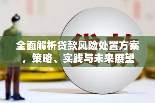 化州全面解析贷款风险处置方案，策略、实践与未来展望