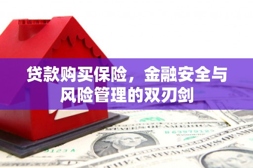 化州贷款购买保险，金融安全与风险管理的双刃剑