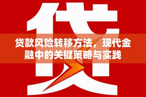 化州贷款风险转移方法，现代金融中的关键策略与实践