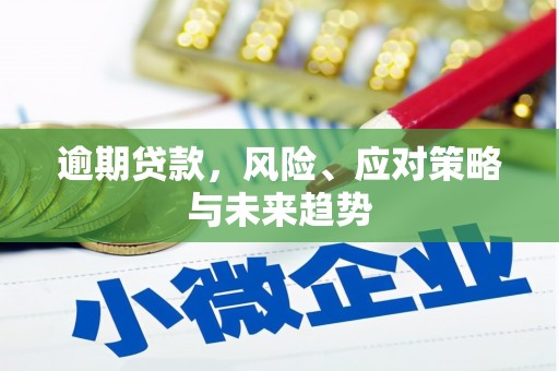 化州逾期贷款，风险、应对策略与未来趋势