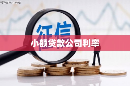化州小额贷款公司利率