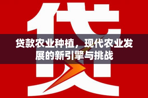 化州贷款农业种植，现代农业发展的新引擎与挑战