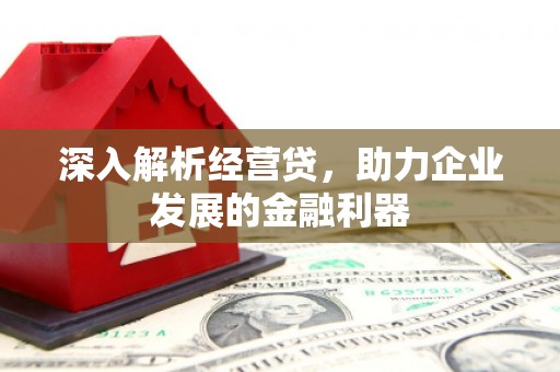 化州深入解析经营贷，助力企业发展的金融利器