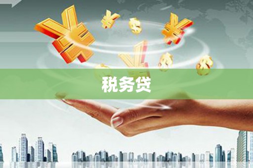 化州税务贷