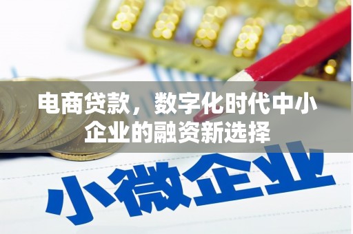 化州电商贷款，数字化时代中小企业的融资新选择