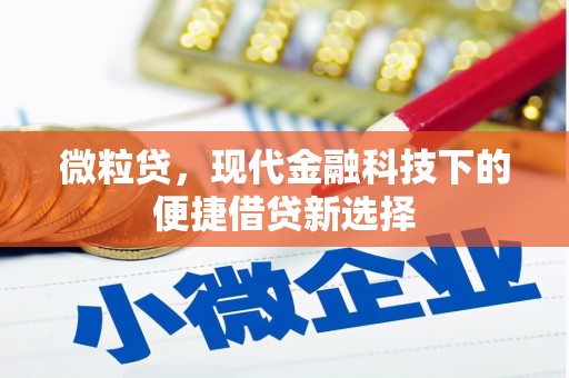化州微粒贷，现代金融科技下的便捷借贷新选择