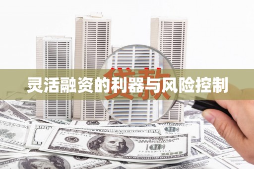 化州灵活融资的利器与风险控制