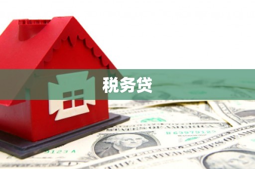 化州税务贷