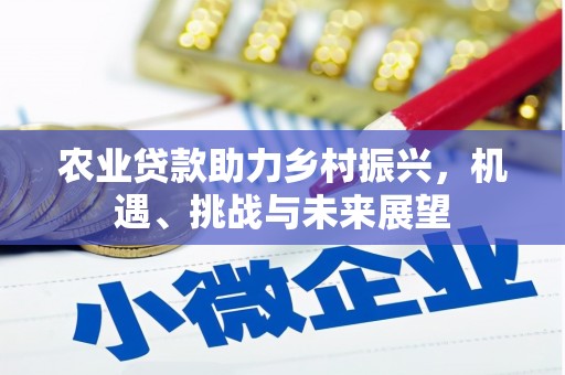 化州农业贷款助力乡村振兴，机遇、挑战与未来展望