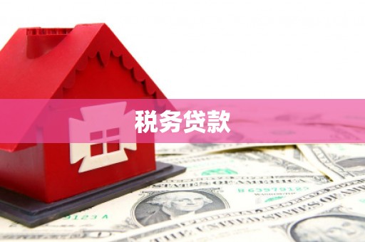 化州税务贷款