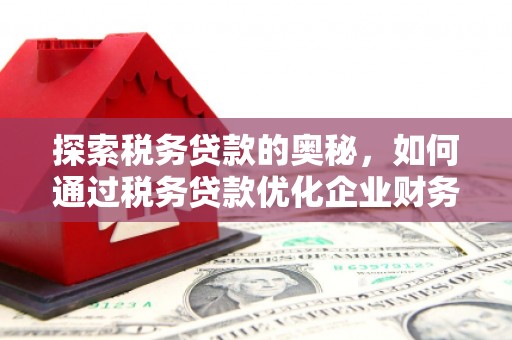化州探索税务贷款的奥秘，如何通过税务贷款优化企业财务