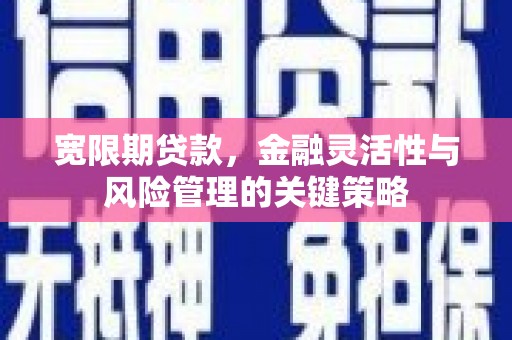 化州宽限期贷款，金融灵活性与风险管理的关键策略
