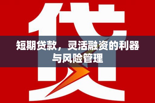 化州短期贷款，灵活融资的利器与风险管理