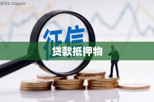 化州贷款抵押物