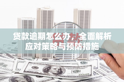 化州贷款逾期怎么办，全面解析应对策略与预防措施