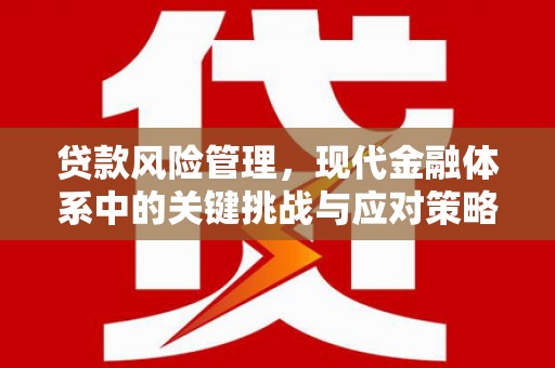 化州贷款风险管理，现代金融体系中的关键挑战与应对策略