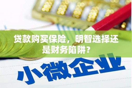 化州贷款购买保险，明智选择还是财务陷阱？