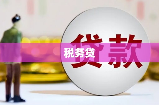 化州税务贷