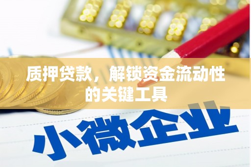 化州质押贷款，解锁资金流动性的关键工具