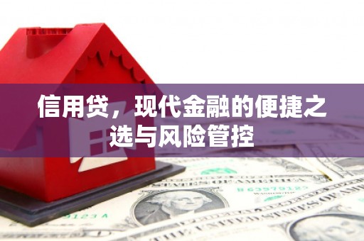 化州信用贷，现代金融的便捷之选与风险管控