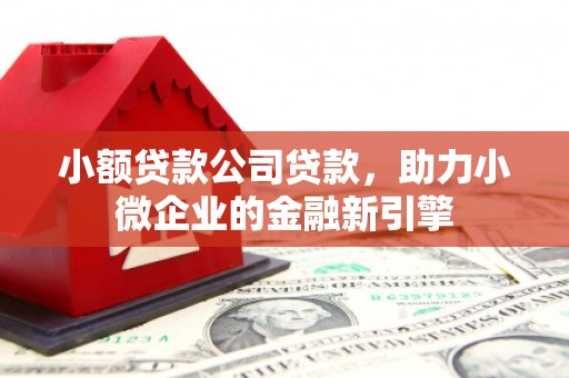 化州小额贷款公司贷款，助力小微企业的金融新引擎