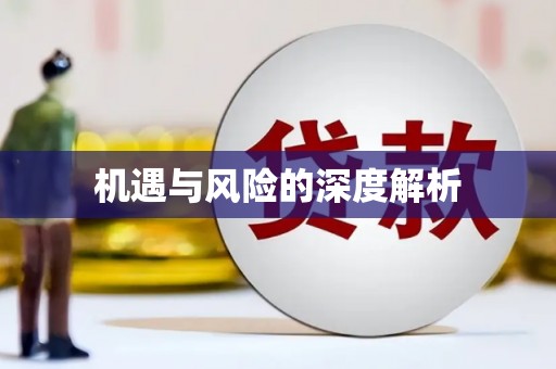 化州机遇与风险的深度解析