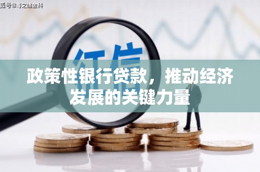 化州政策性银行贷款，推动经济发展的关键力量