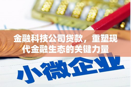 化州金融科技公司贷款，重塑现代金融生态的关键力量