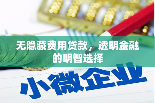 化州无隐藏费用贷款，透明金融的明智选择