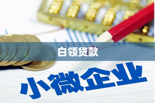 化州白领贷款