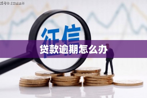 化州贷款逾期怎么办