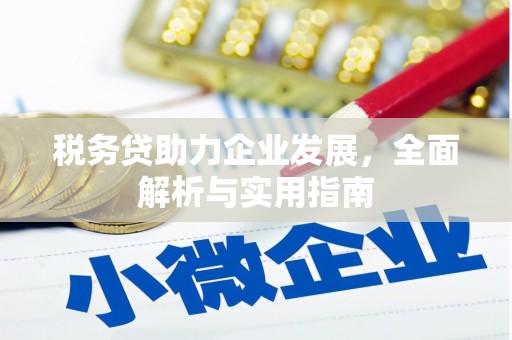 化州税务贷助力企业发展，全面解析与实用指南
