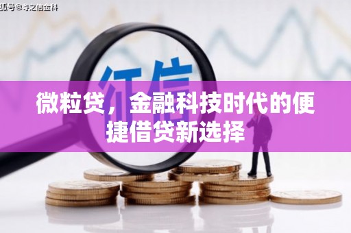 化州微粒贷，金融科技时代的便捷借贷新选择