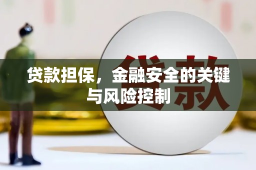 化州贷款担保，金融安全的关键与风险控制