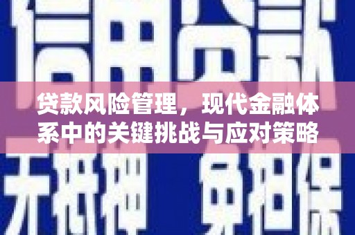 化州贷款风险管理，现代金融体系中的关键挑战与应对策略