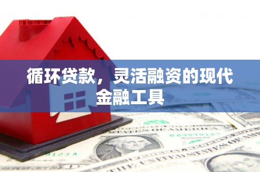 化州循环贷款，灵活融资的现代金融工具