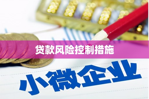 化州贷款风险控制措施