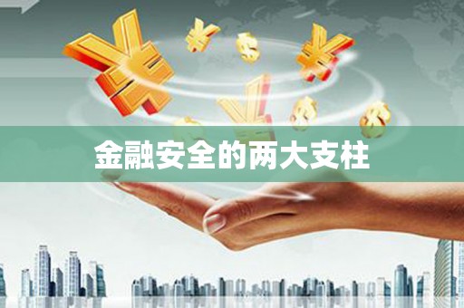化州金融安全的两大支柱